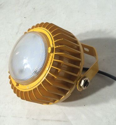 海洋王10W應急防爆燈 高效安全，專為工礦車間與加油站設計